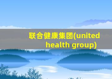 联合健康集团(unitedhealth group)
